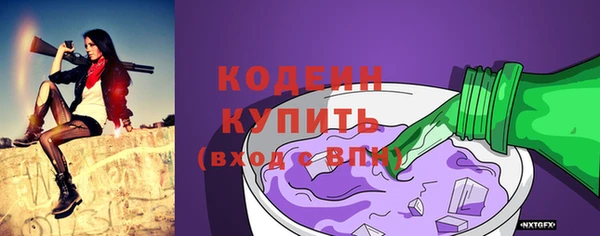 метадон Гусев