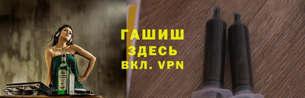 метадон Гусев