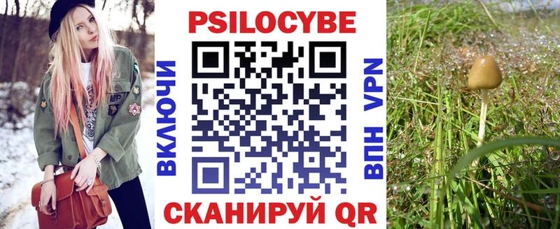 Купить где  Каменск-Шахтинский  Псилоцибиновые грибы Psilocybe 